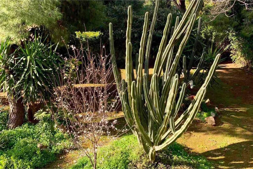 Athens Riviera Garden Views Apartment #Unoblu Екстер'єр фото